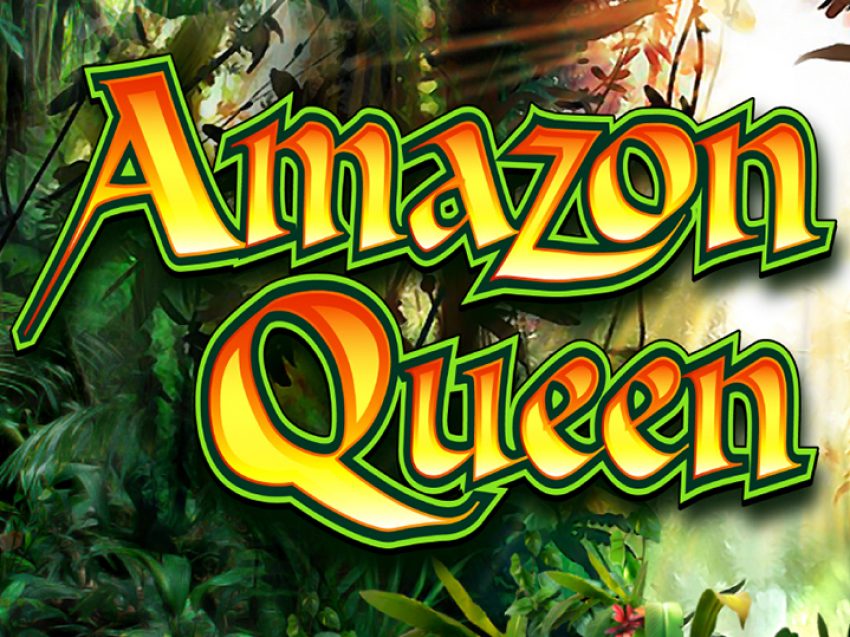 amazon queen gallery