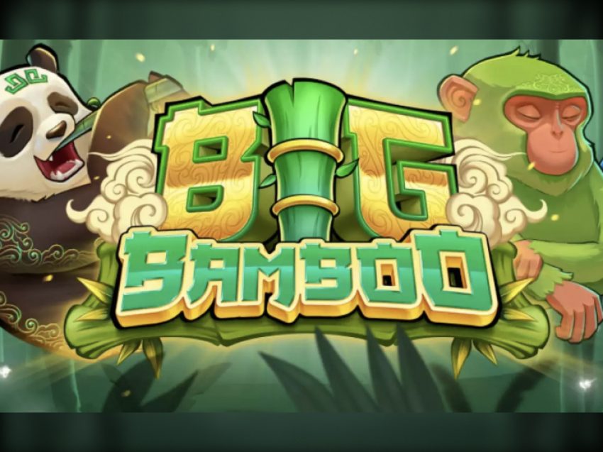 big bamboo gallery