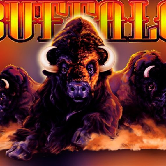 Buffalo