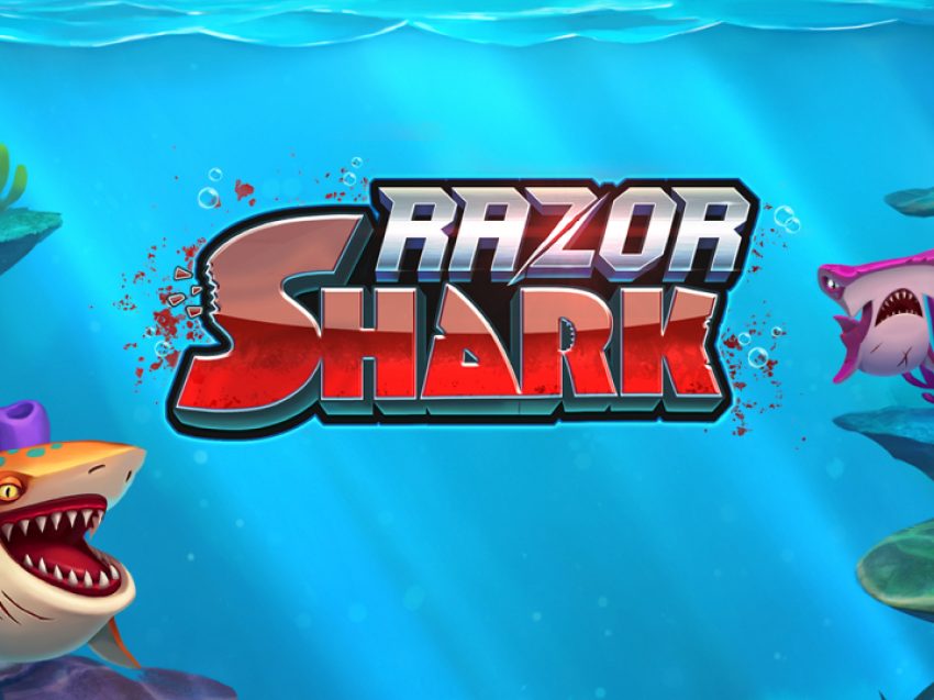 razor shark gallery