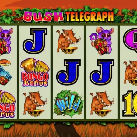 Bush Telegraph Slot Review