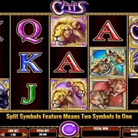 Cats Slot Review